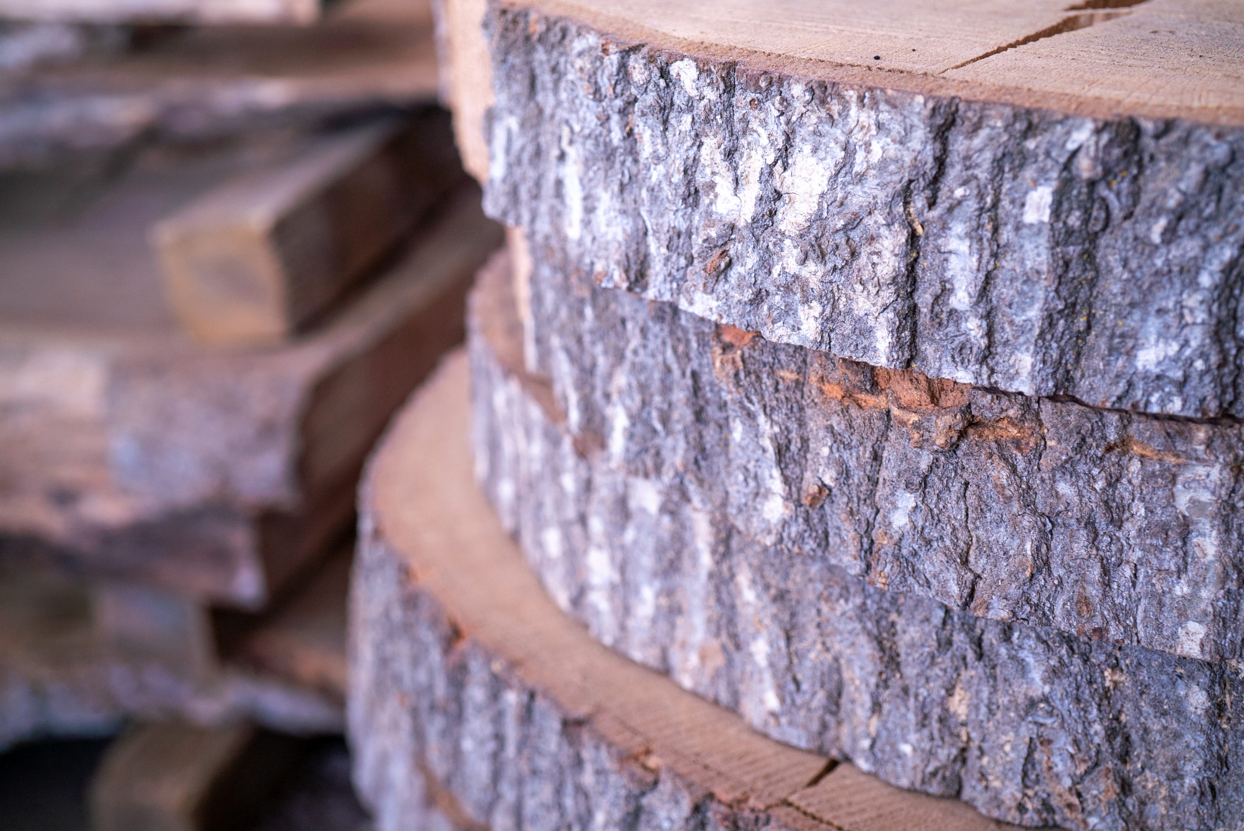 end grain disk wood cookie