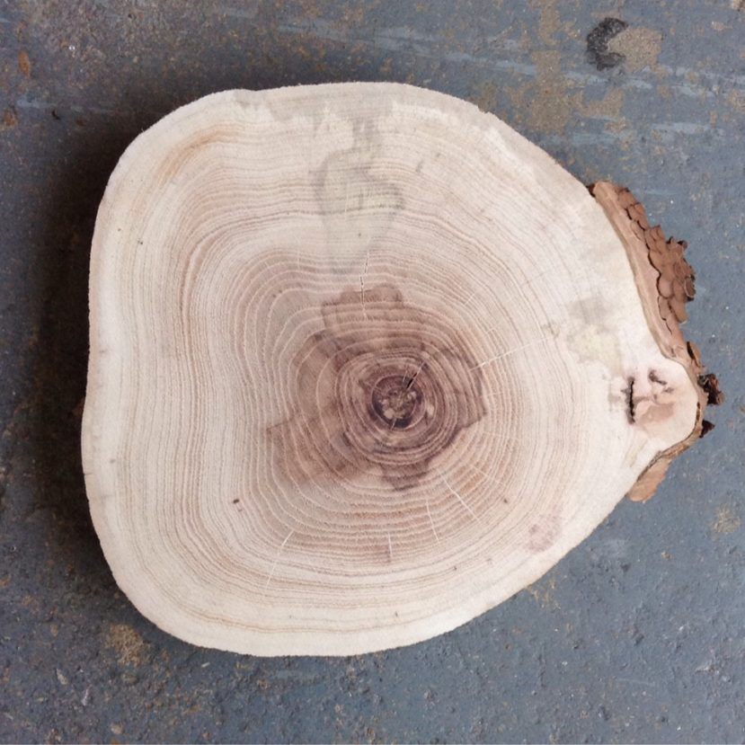 Surfaced Cookie 12-15" diameter
