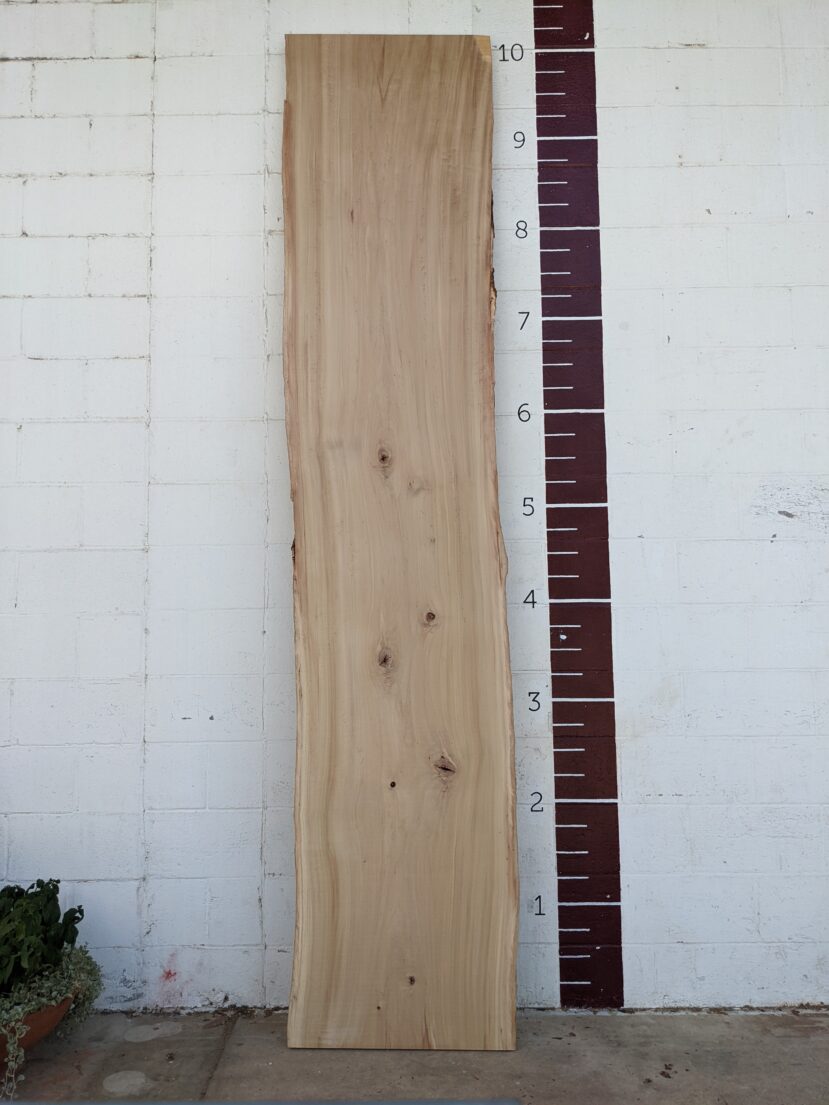 Cottonwood  C14