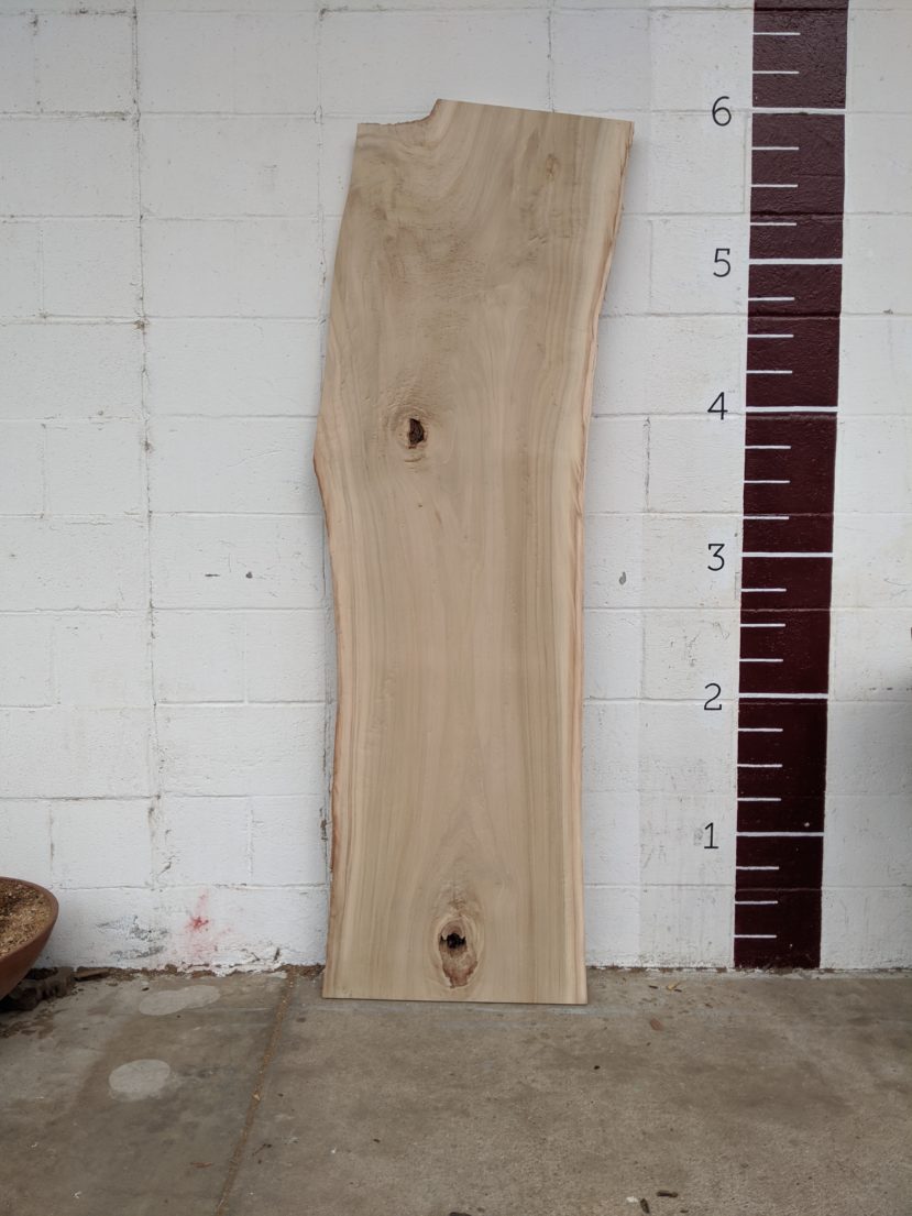 Cottonwood  C26-1