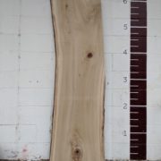 Cottonwood  C30-1 - Image 2