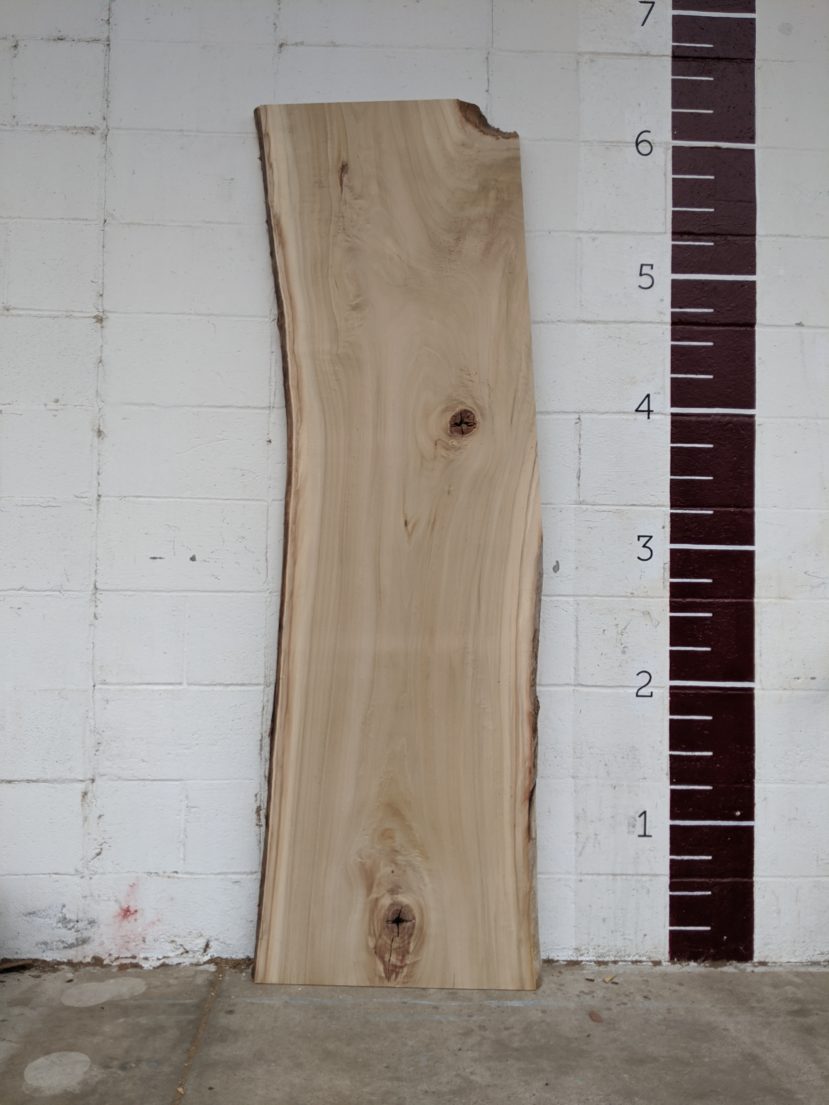 Cottonwood  C30-1 - Image 2
