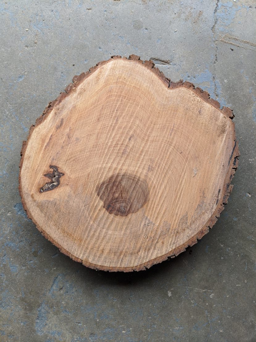 12" Cookies-Various Species-1.5" Thick