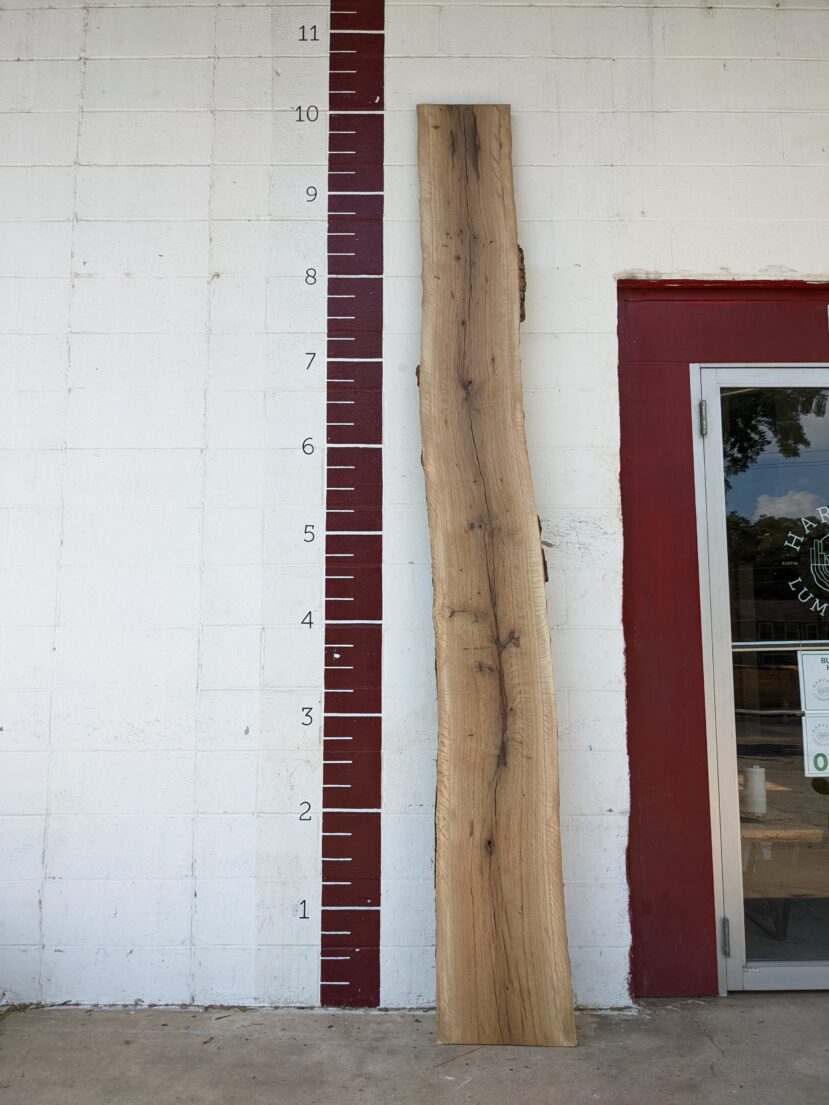 Post Oak  PO36