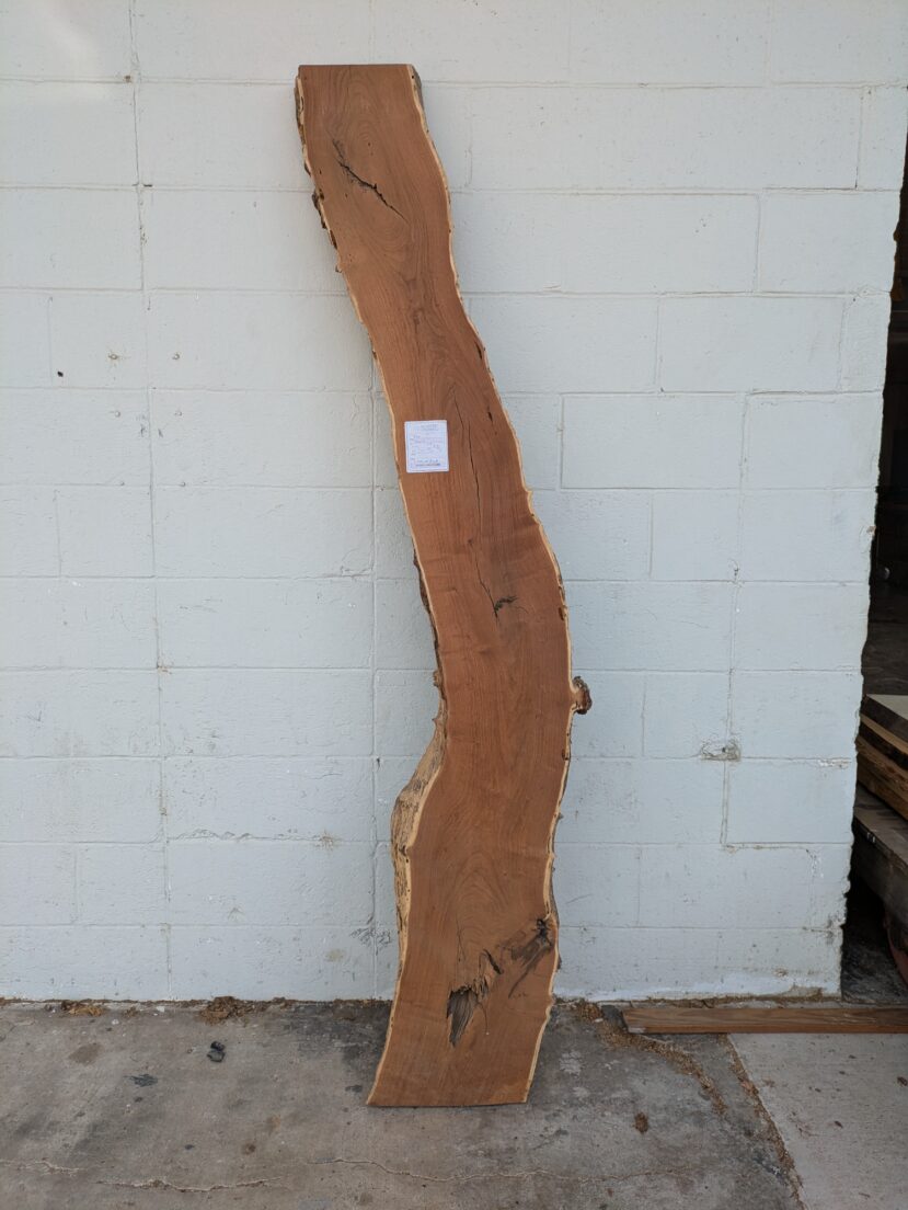Mesquite  M42