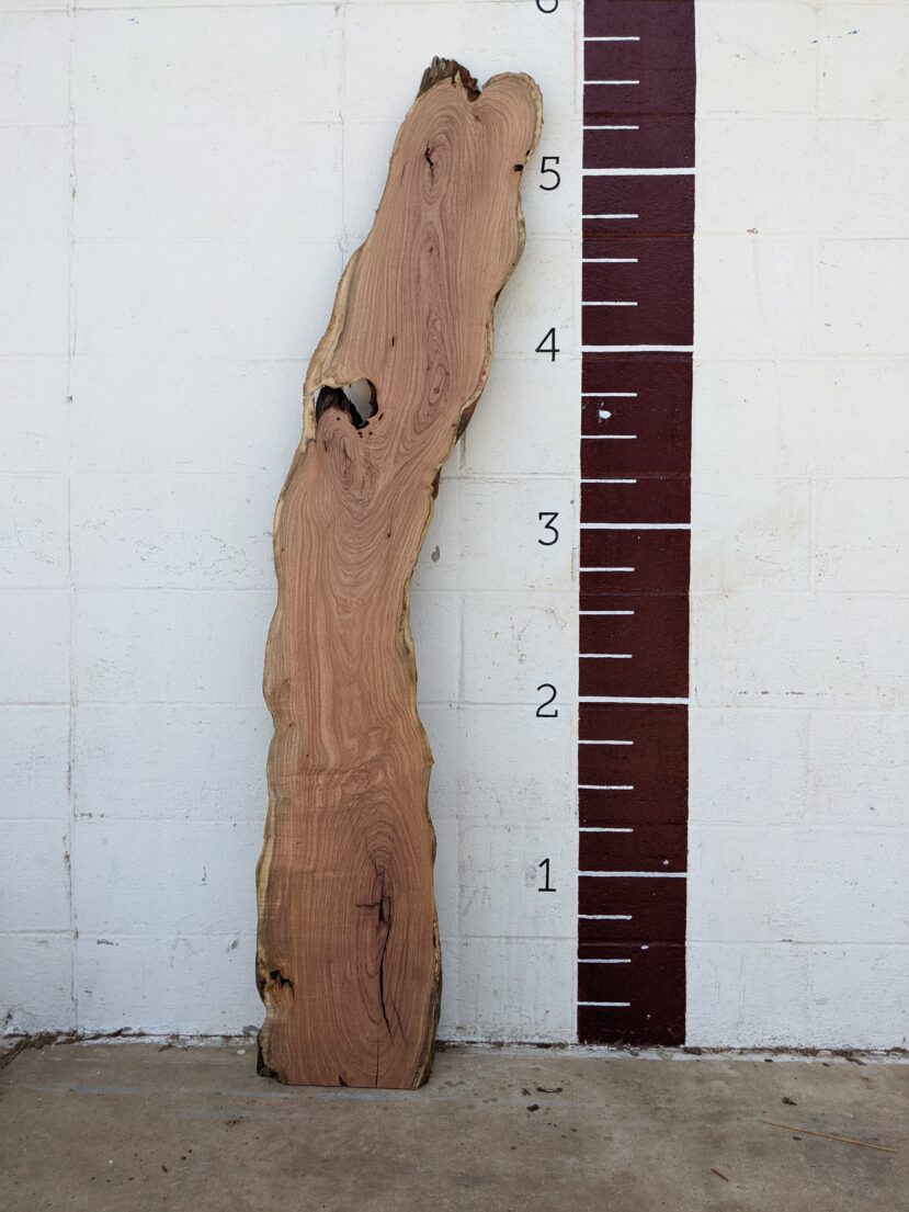 Mesquite  M53