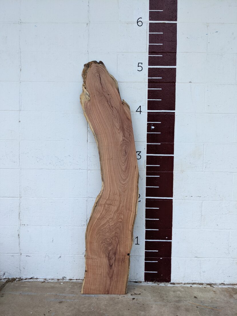 Mesquite  M54
