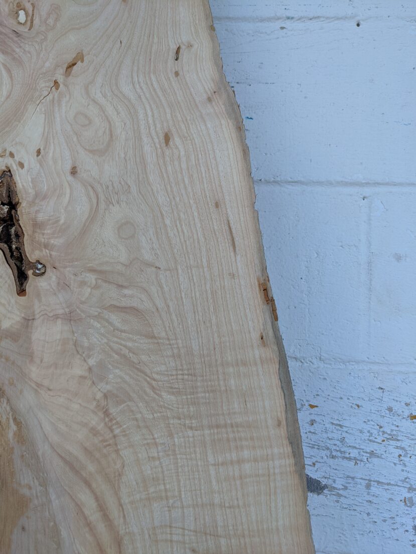 Ash  A09 - Image 2