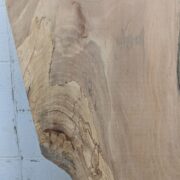 Pecan  P270 - Image 2