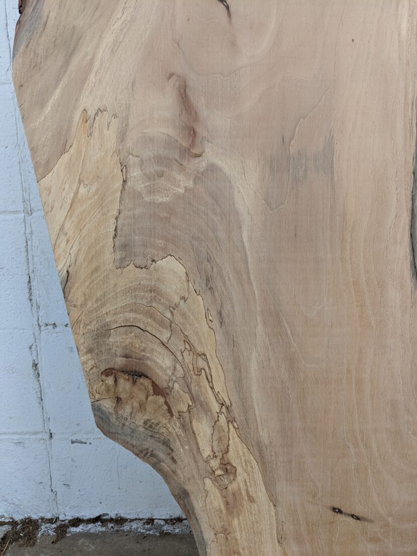 Pecan  P270 - Image 2