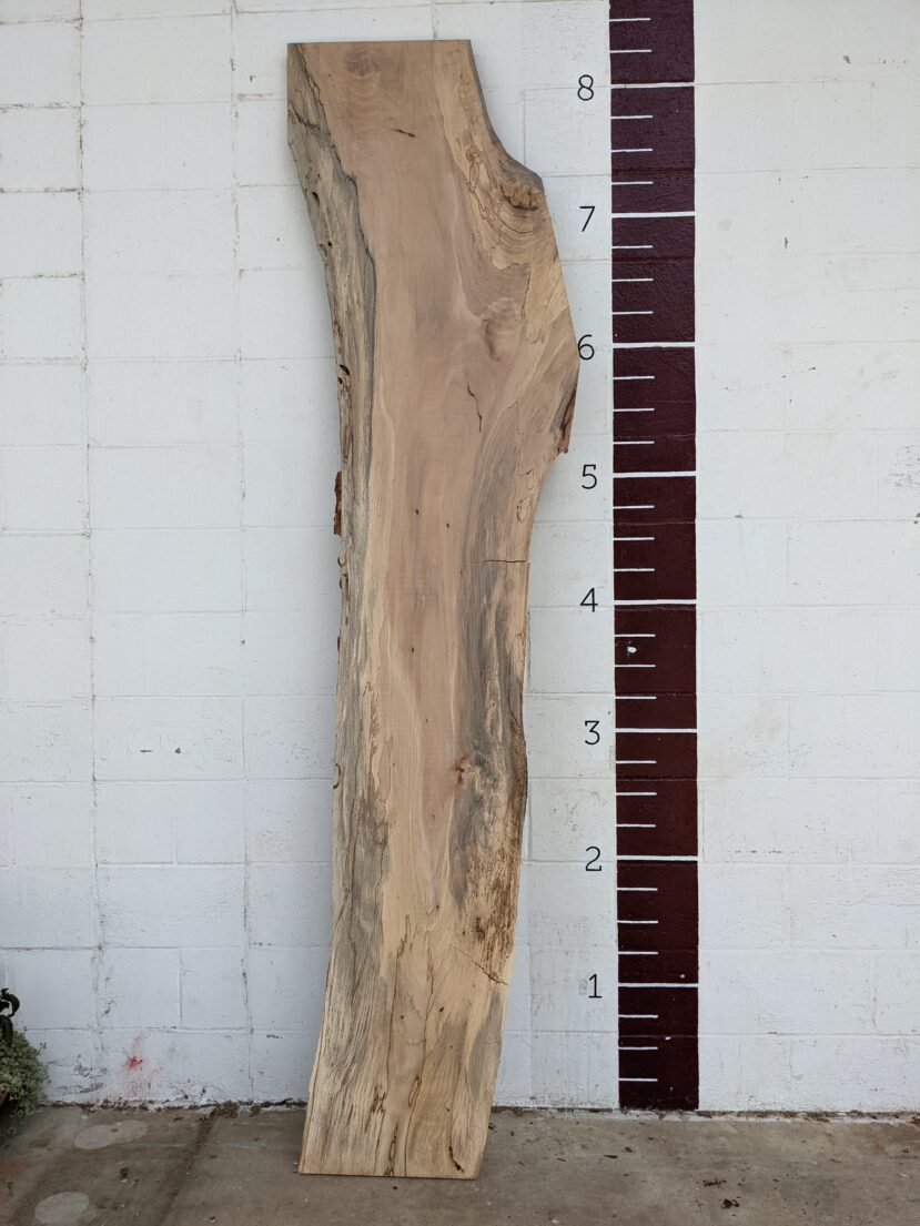 Pecan  P270