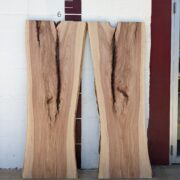Cedar Elm  CE101 - Image 2