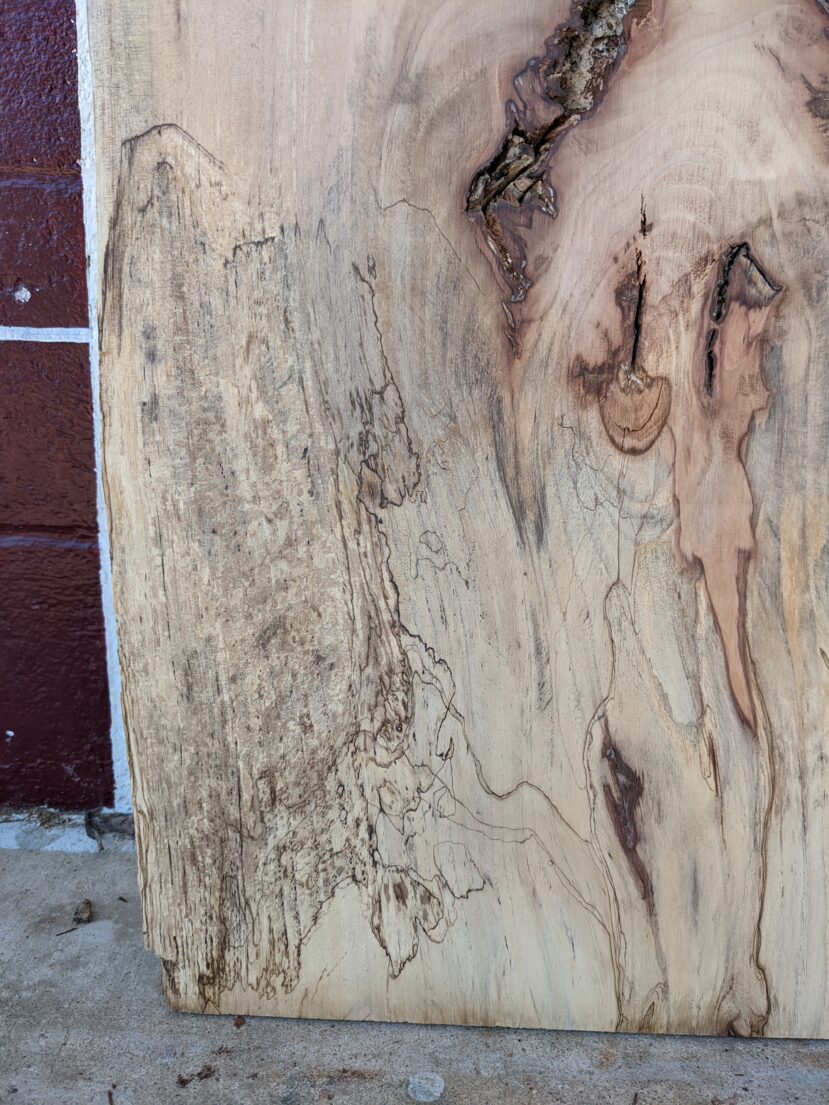 Pecan  P275 - Image 2