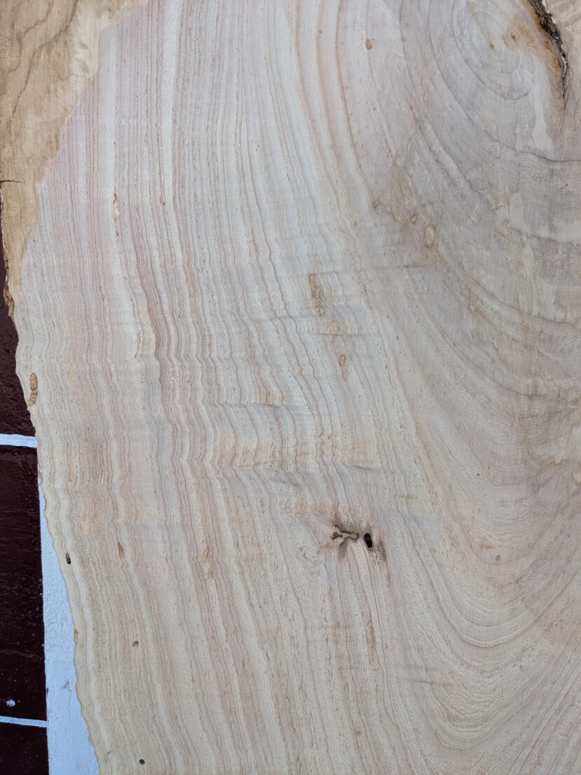 Ash  A19 - Image 2