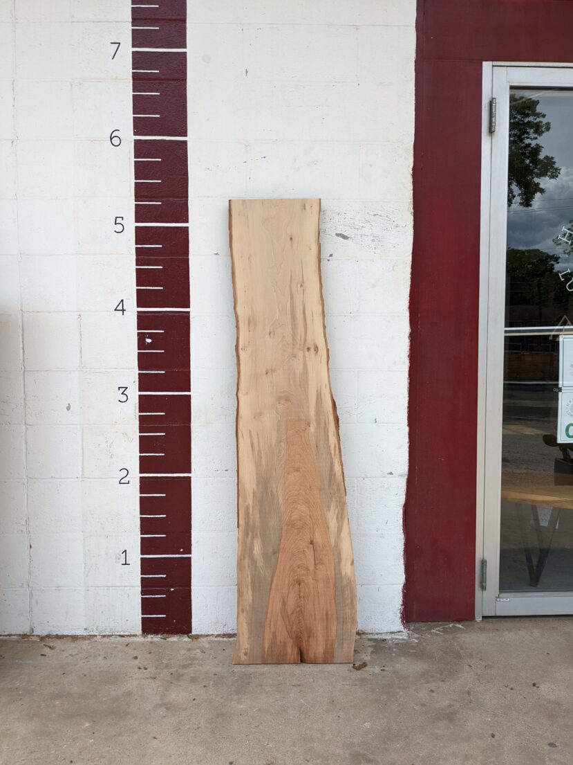 Pecan  P264