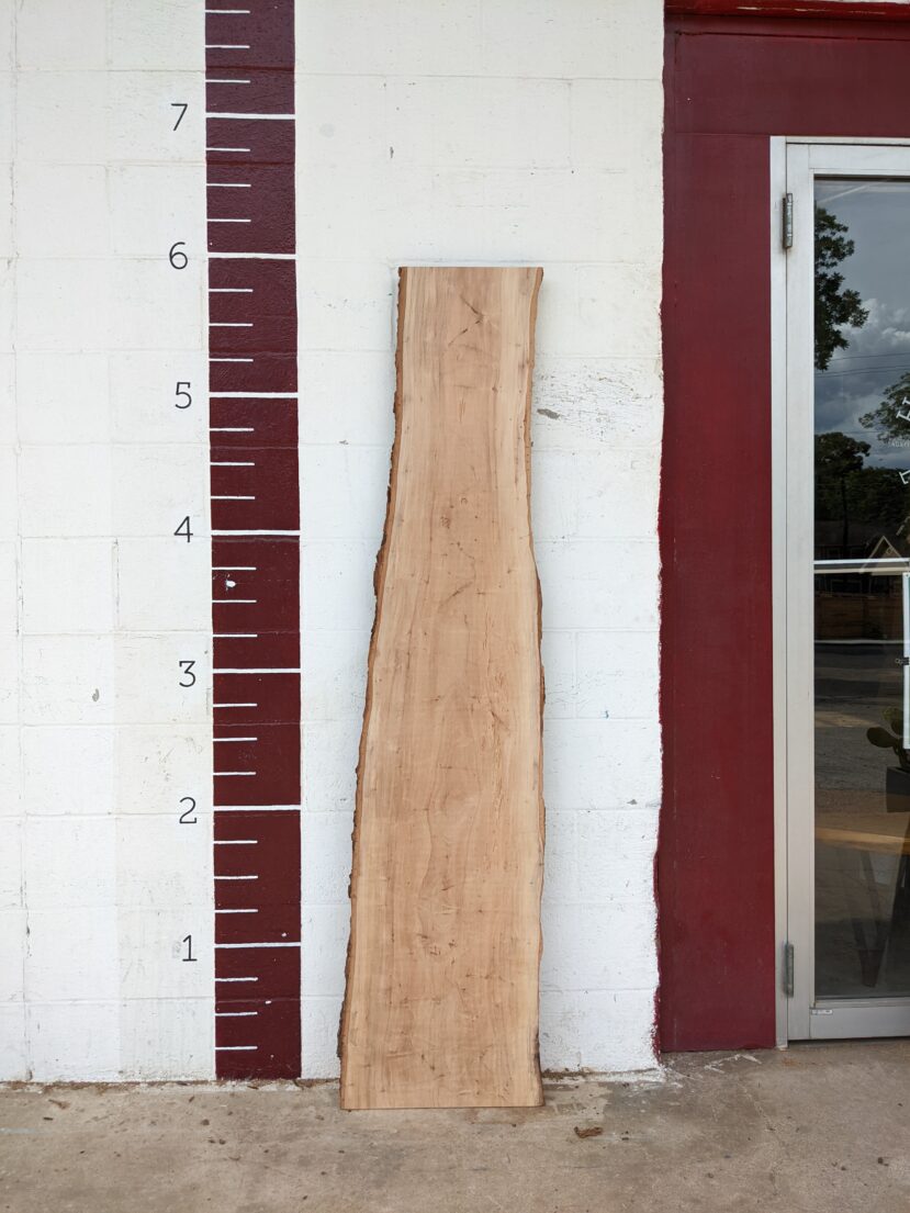 Pecan  P262