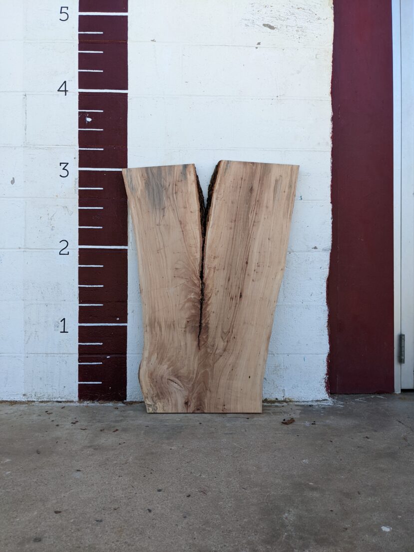 Pecan  P266