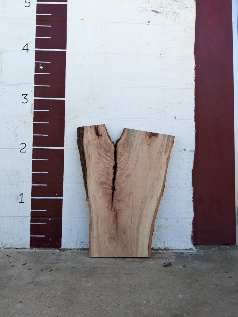 Pecan  P267