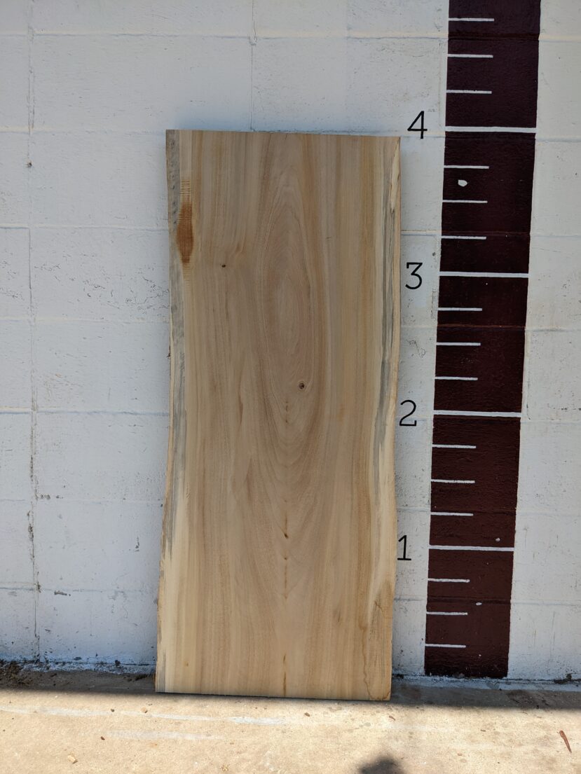 Cottonwood  C40