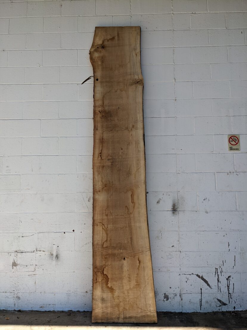 Cottonwood  C54
