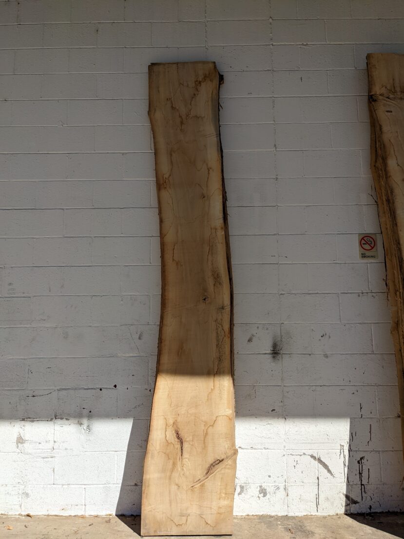 Cottonwood  C61
