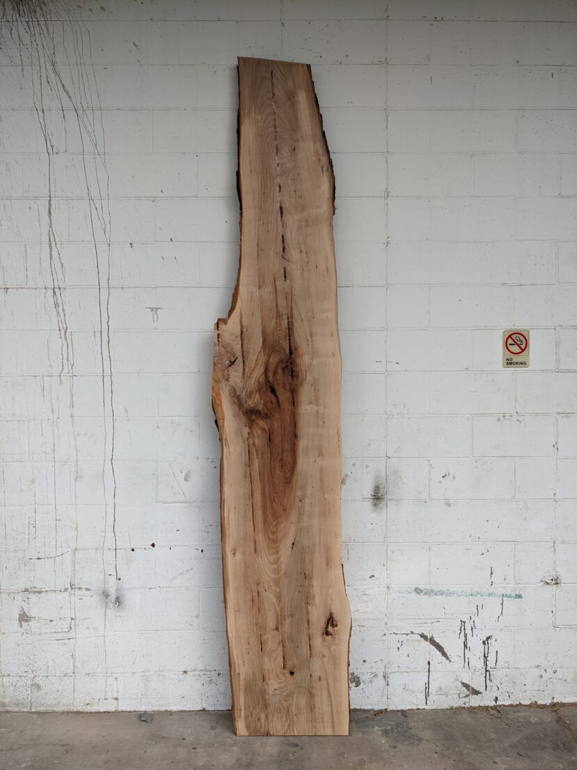 Pecan  P276