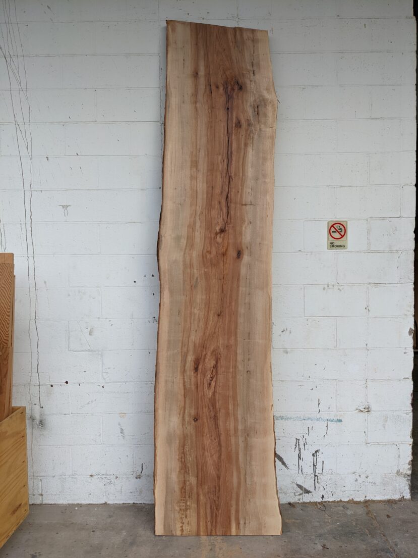 Pecan  P280