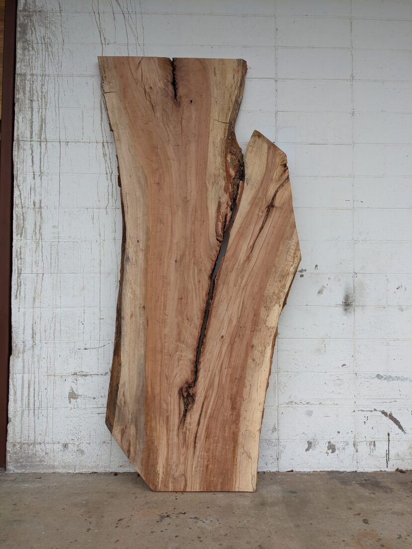 Pecan  P285