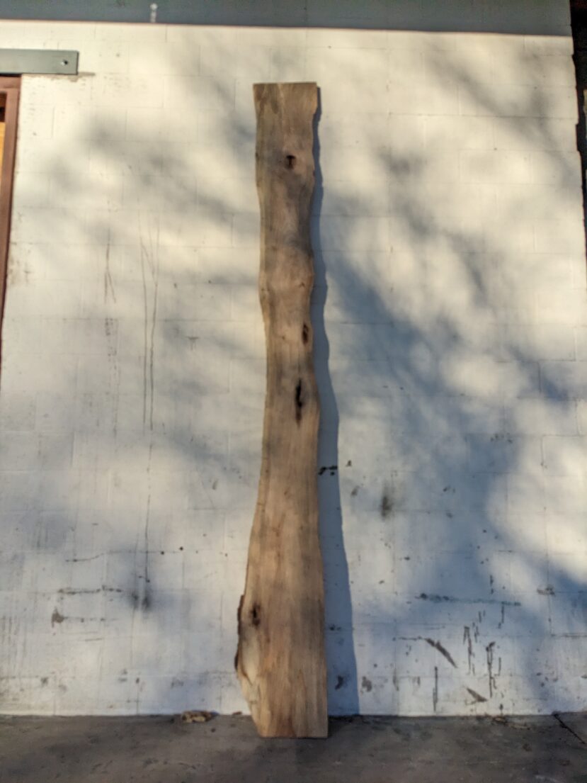 Pecan  P292