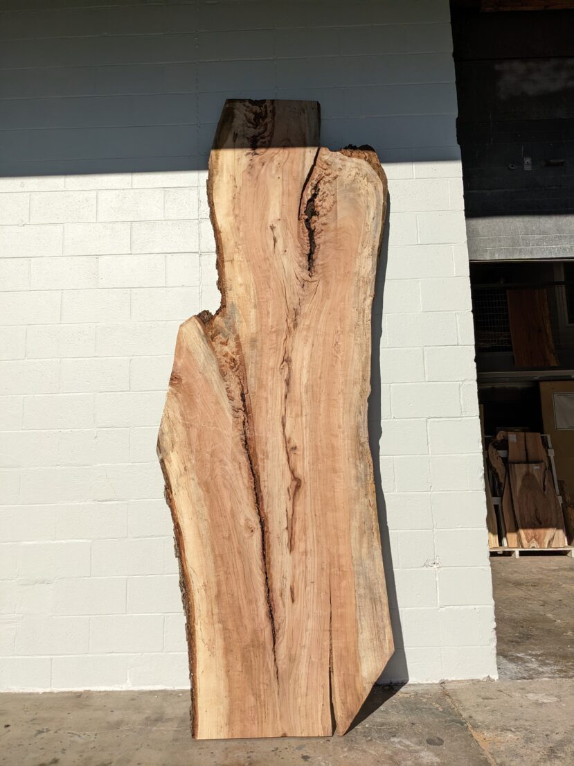 Pecan  P286