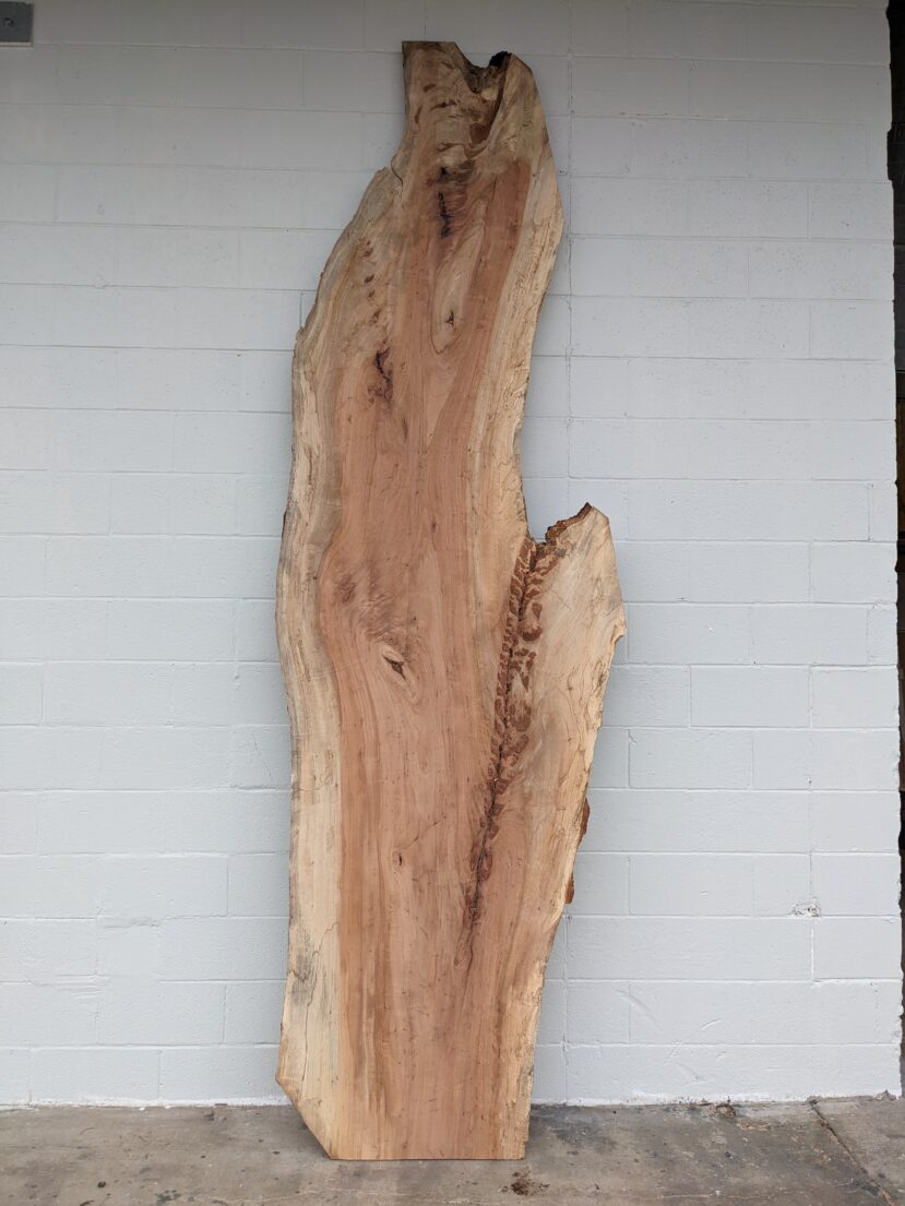 Pecan  P288