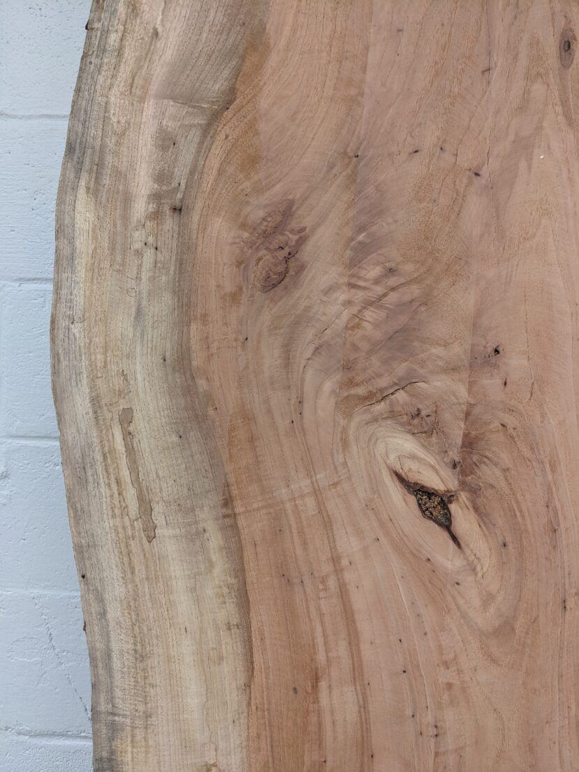 Pecan  P288 - Image 3