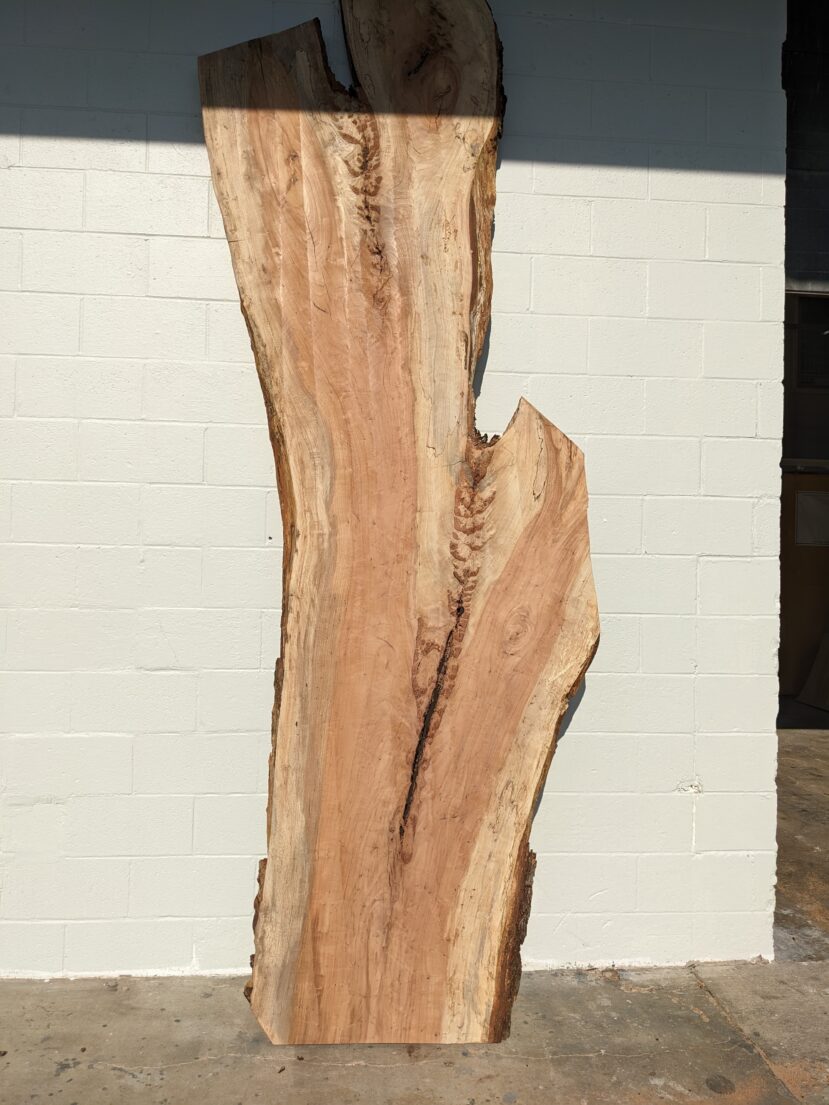 Pecan  P287