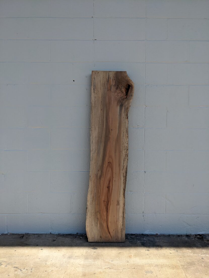 Pecan  P293