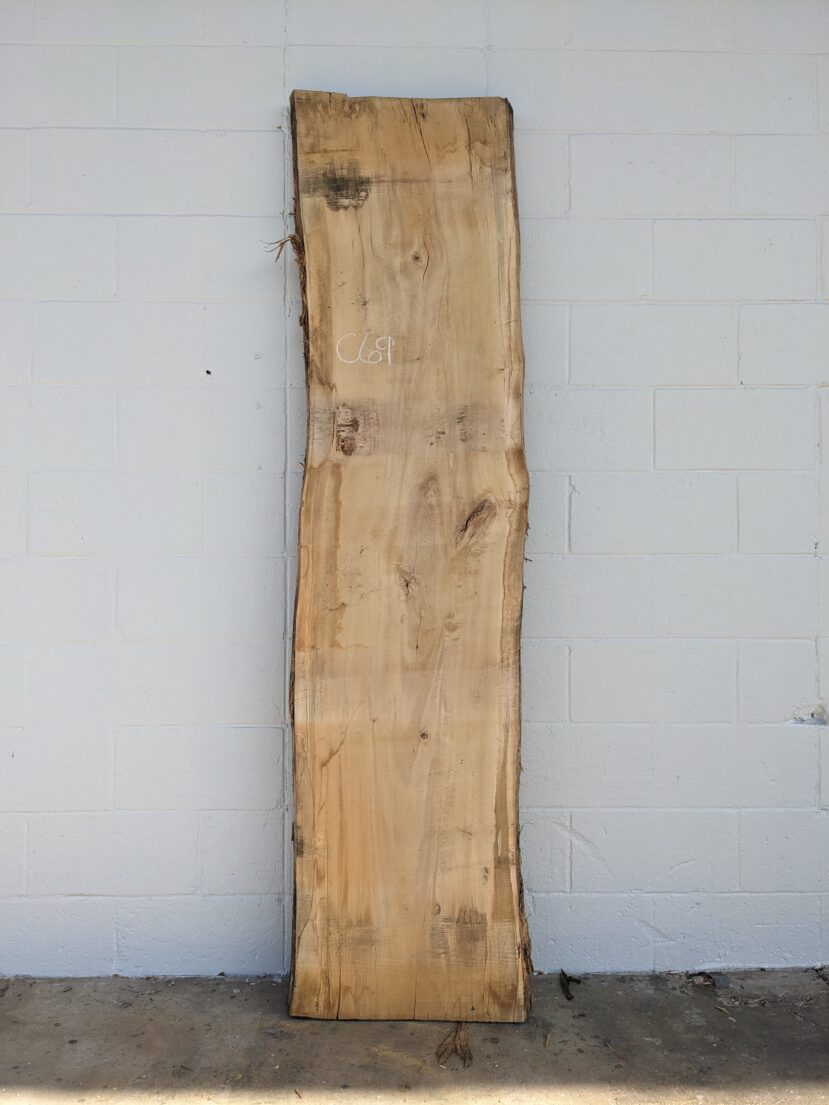 Cottonwood  C69