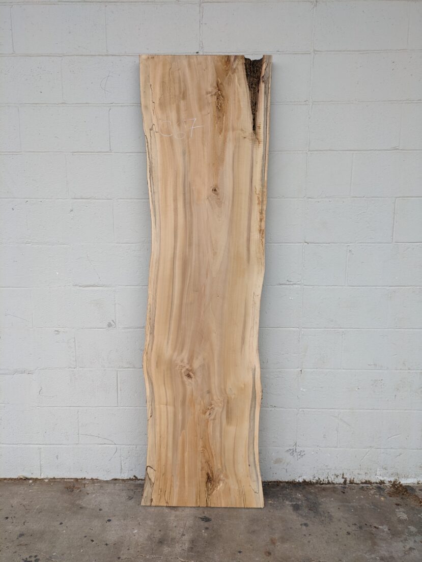 Cottonwood  C67