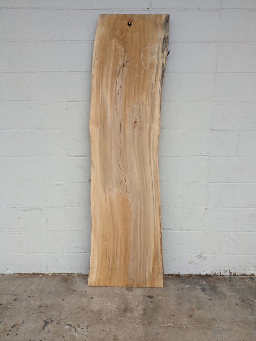 Cottonwood  C80