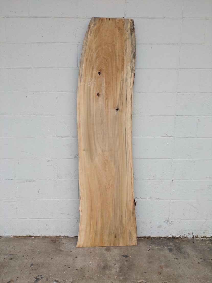 Cottonwood  C81