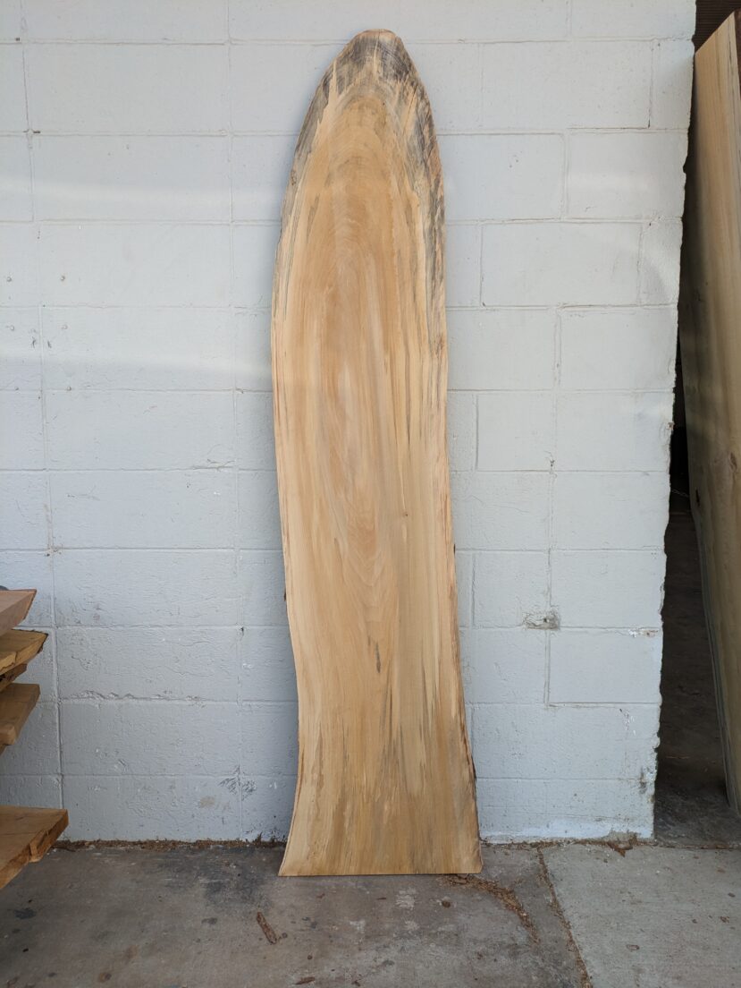 Cottonwood  C82