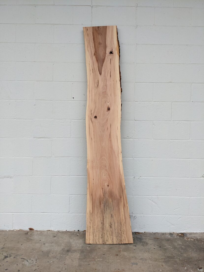Cedar Elm  CE105