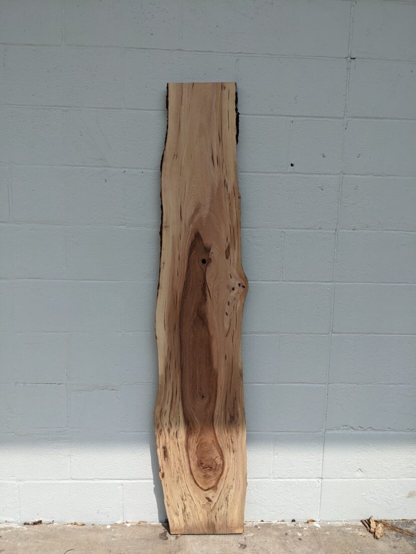 Cedar Elm  CE106