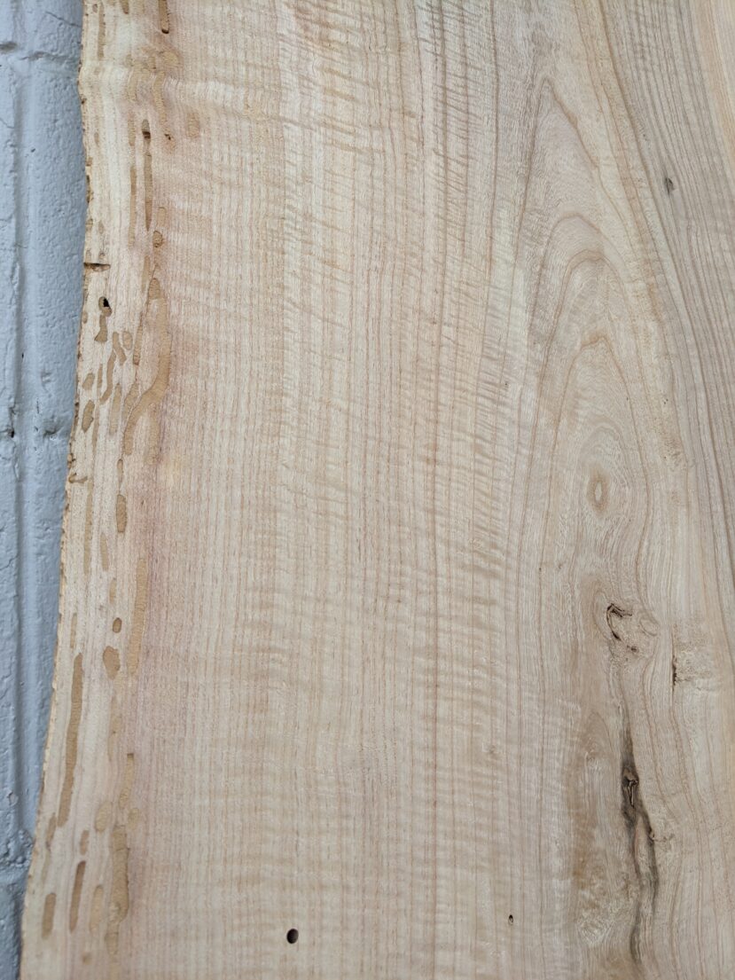 Ash  A33 - Image 2