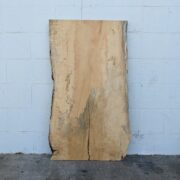Box Elder BE02