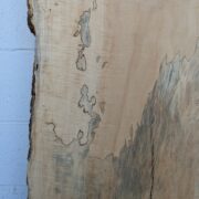 Box Elder BE02 - Image 2