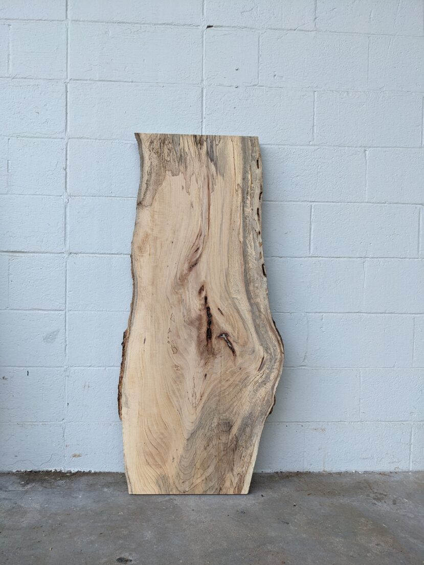Pecan  P304