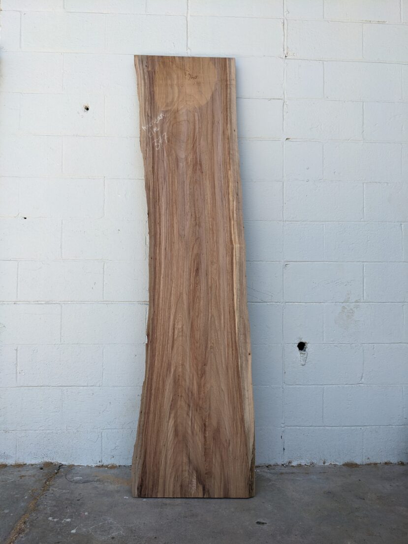 American Elm AE150