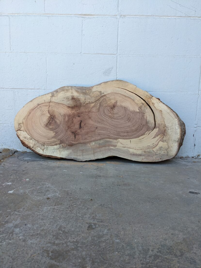Pecan  P305
