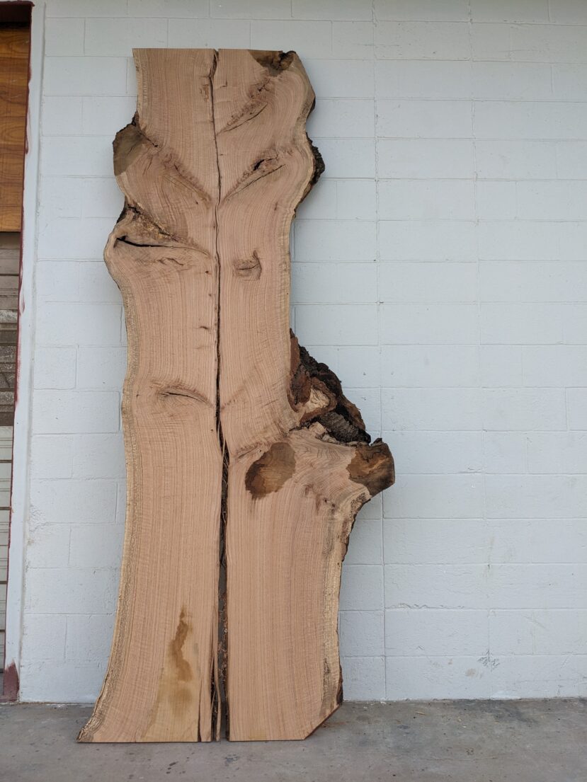 Red Oak  RO39