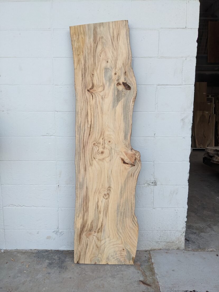 Loblolly Pine LP10