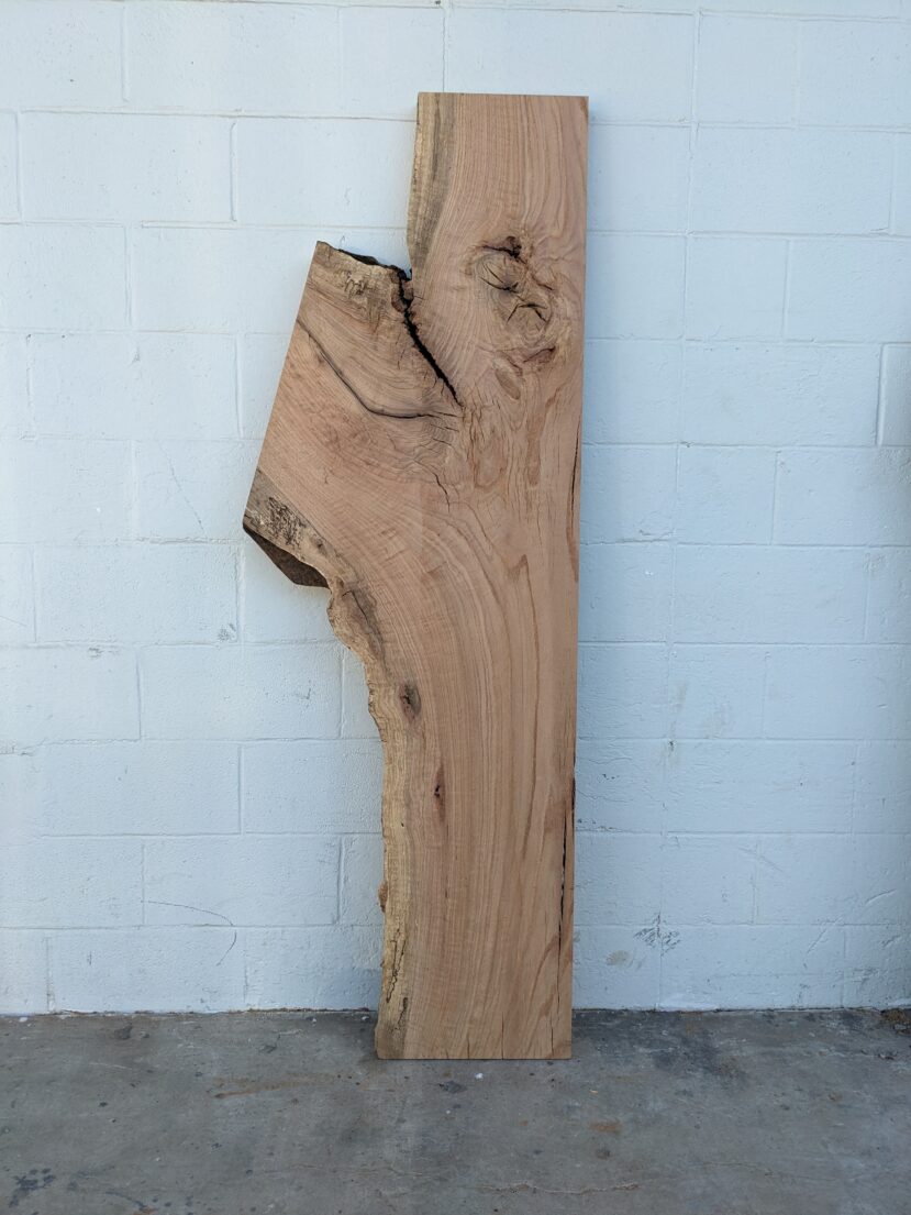 Red Oak  RO42